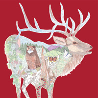 Elk