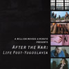 After the War: Life post-Yugoslavia