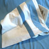 amber_blanket_racingstripes