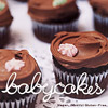 babycakes-book
