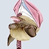 berkeley-brown-bat