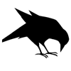 bo5_crow