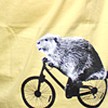 Beaver on a Bike