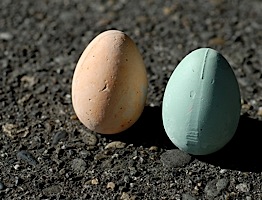 buyolympia.com: Marc Vidal - Chalk Eggs :  sidewalk chalk eggs chalk fun