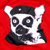 Lemur Che