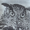 fluffy-owl-ecowallet