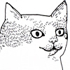 gemma-everybody-kittens