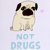 gemma-pugs-not-drugs-card