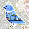 Hidden Habitats