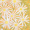 jill-167-douglas-aster