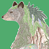 jill-199-bear-print
