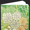 jill-hens-chicks-mini-note