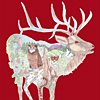 jill-wapiti-elk-poster