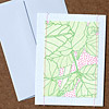 jillb-yerbamint-card