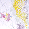 jillb_fishcoral_notecards