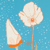 jillbliss_nativepoppies_po