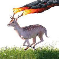 Be Careful Running Through The Forest