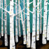Birch Forest
