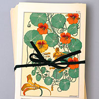 Notecard Box