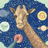 mcsw_giraffes