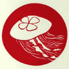 nikki_jellyfish