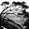 nm20_mendocino