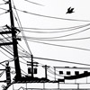 nm24_rooftop