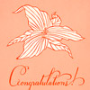 Carson Ellis Congrats Flower