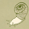 Carson Ellis Snail