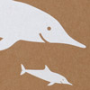 poketo_natural_dolphins