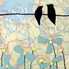 Birds and Blue Pinwheels