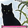 rb-original-betsy