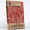 scout-bwana-rain-forest