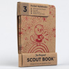 scout-bwana-rainbow-kitty