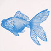 sesame_bluegoldfish