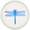 sesame_dragonflybox
