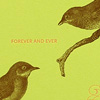 sesame_foreverbirds_card