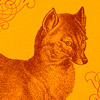 Foxy