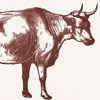 sesame_giftnote_cow