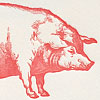sesame_giftnote_pig