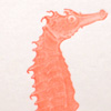 Daring Seahorse