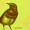 sesame_thankyoufinch_card
