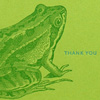 Frogs
