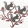 sherwood-squirrels-card