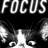 stella-154-focus