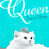 stella-160-queen-for-a-day