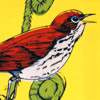 tm_thrush_checkbook