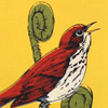 tm_thrush_passport